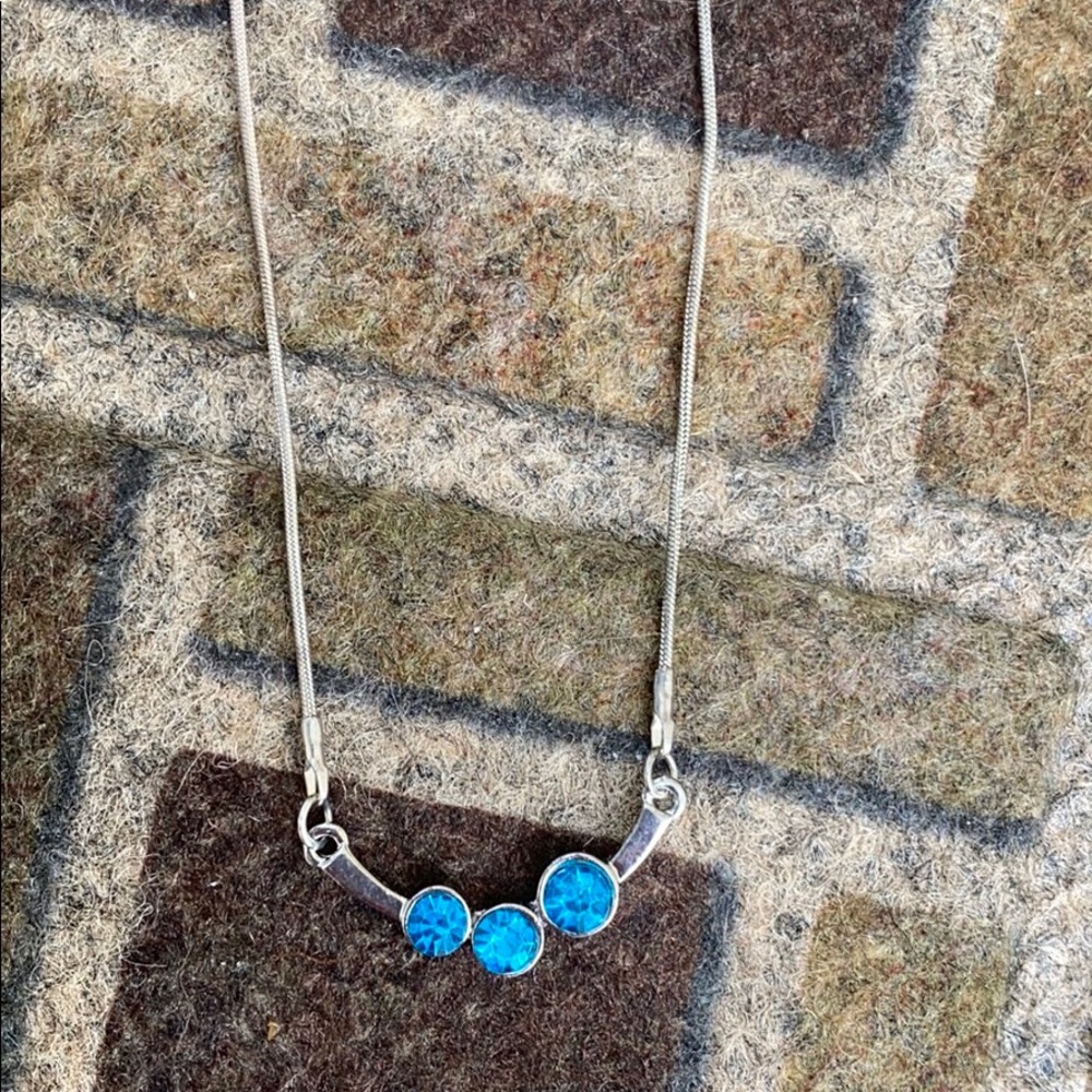 Paparazzi Necklace and earring set